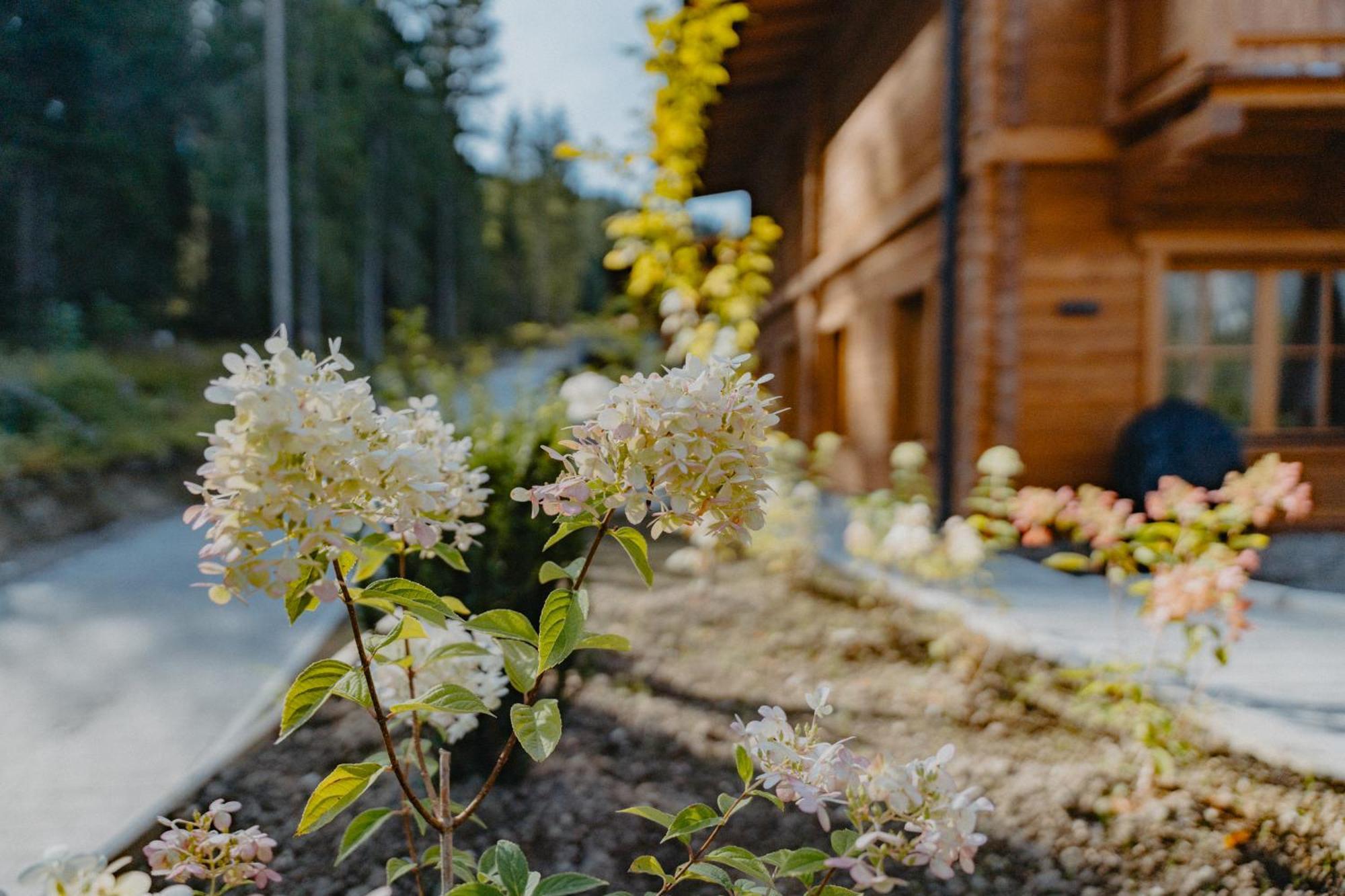 Sissi'S Green Chalets لوتاش المظهر الخارجي الصورة